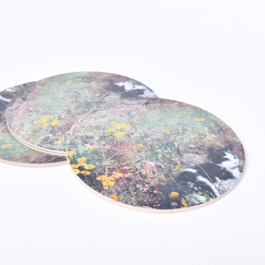 Tre runda glasunderlägg med motiv av Bruno Liljefors Katt på blomsteräng