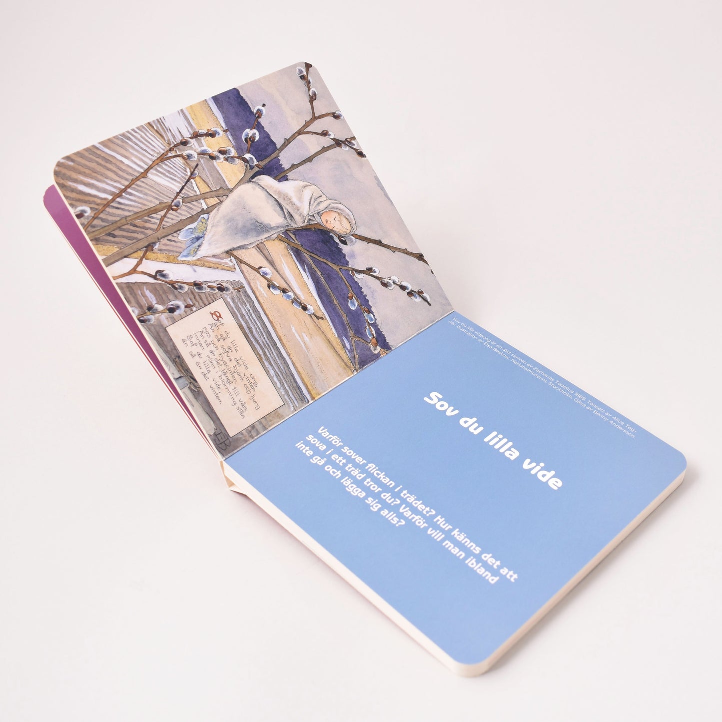 Insida i barnbok om Elsa Beskow med bild på Sov du lilla viderung