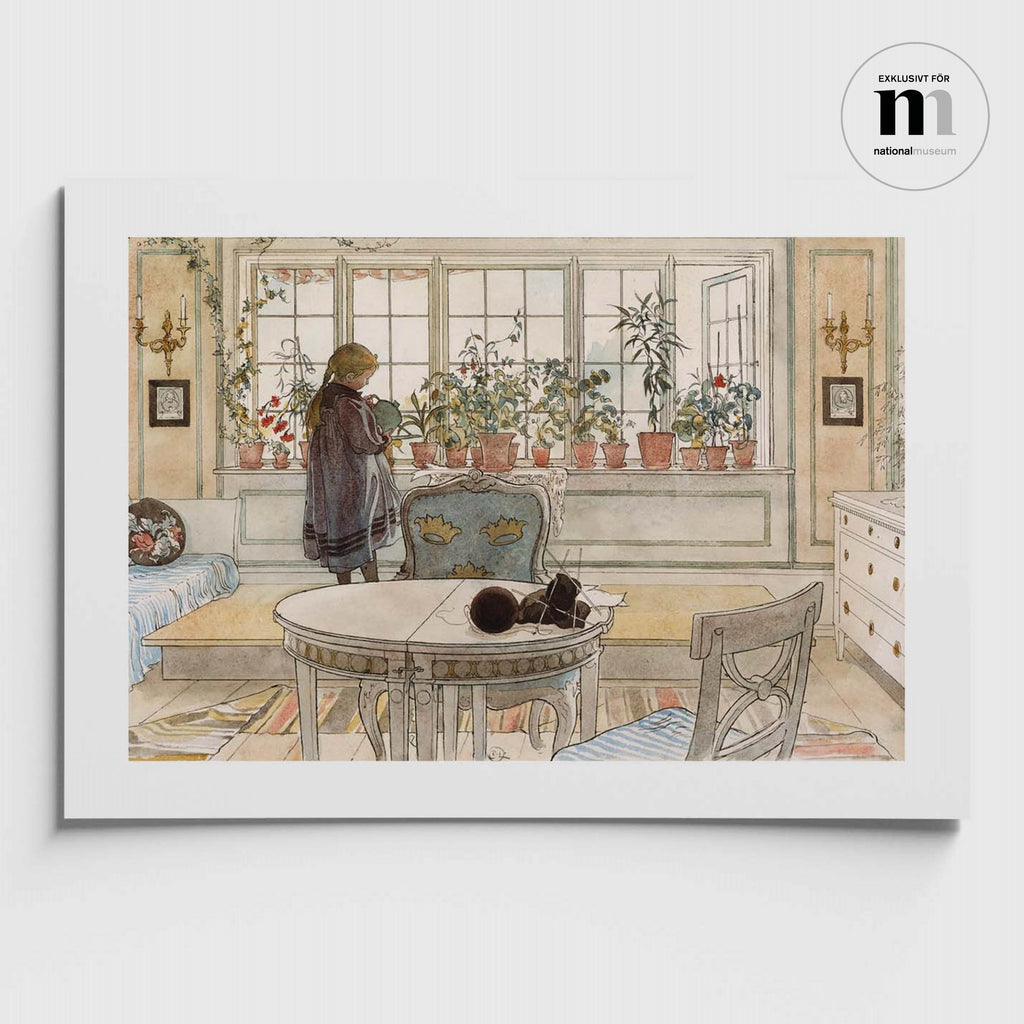 Poster med målning av Carl Larsson föreställande dottern som vattnar pelargonier i hemmet i Sundborn från NAtionalmuseum
