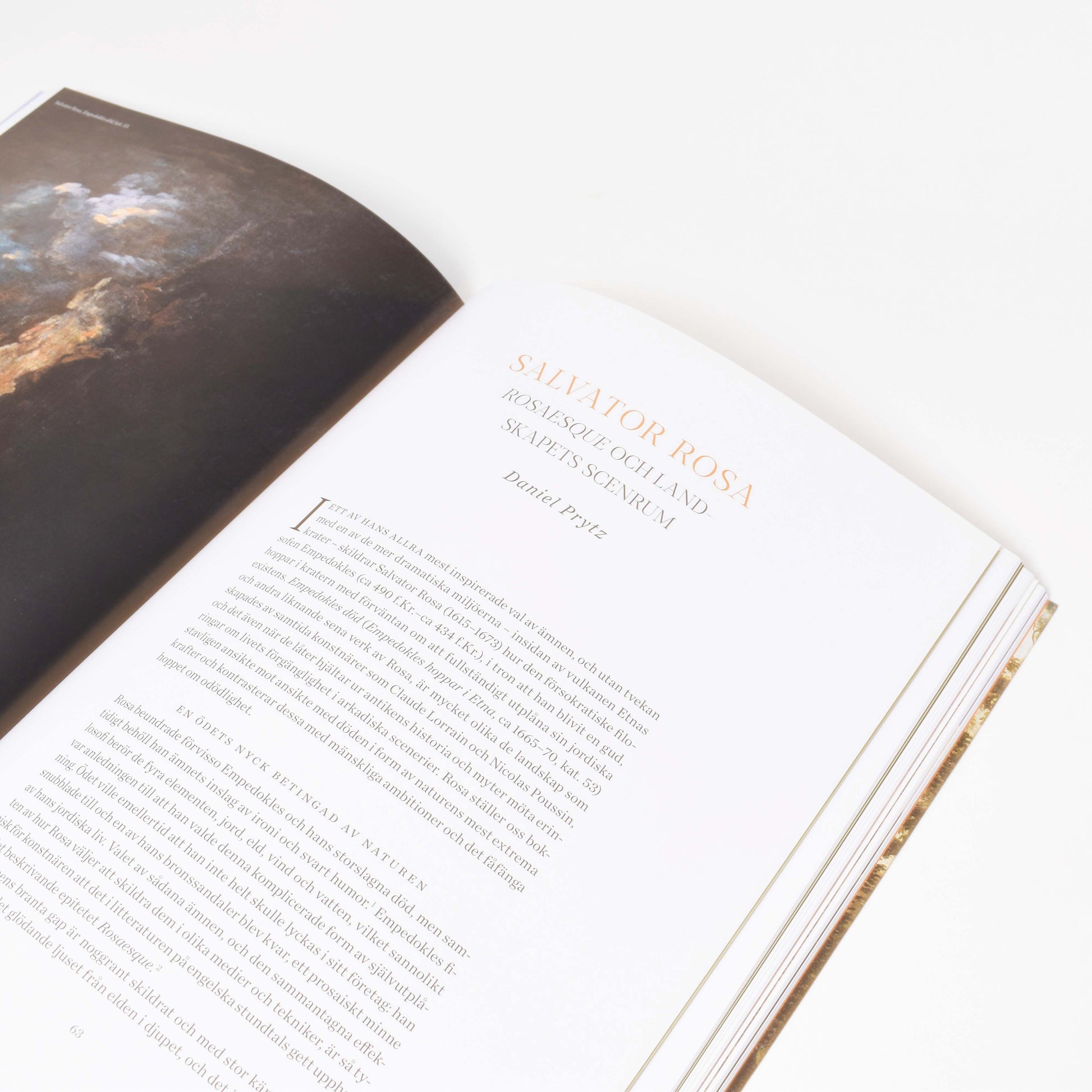 insida i boken "arkadien-ett förlorat paradis" men kapitel om Salvator Rosa