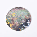 Ladda upp bild till gallerivisning, Runt glasunderlägg med motiv av Bruno Liljefors Katt på blomsteräng
