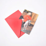 Ladda upp bild till gallerivisning, Vykort med Carl Larssons målning murre och rött kuvert
