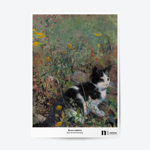 Poster 50x70 cm med bruno liljefors målning katt på blomsteräng